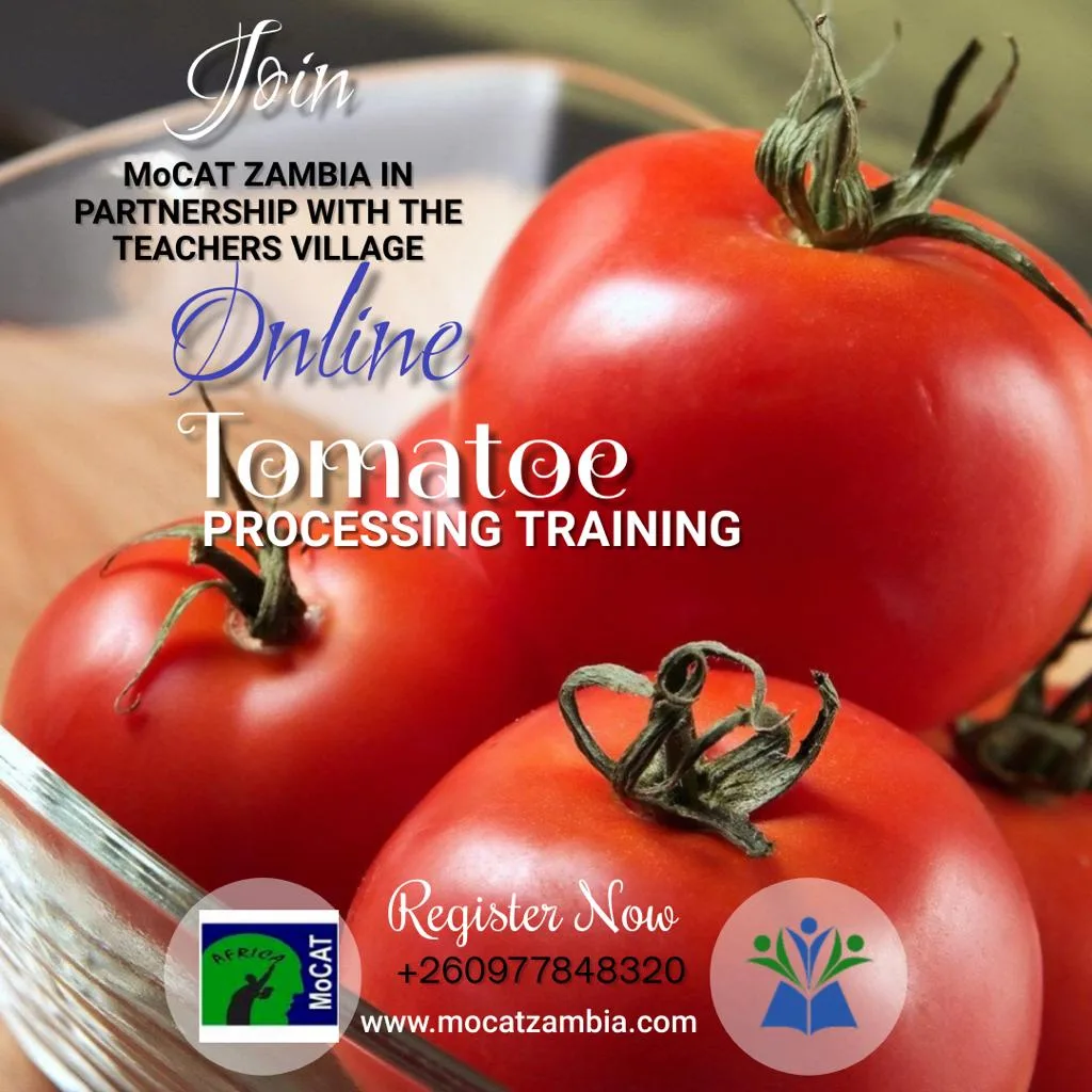 Formation en Transformation de Tomates