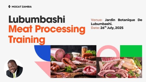 Meat Processing Training - Lubumbashi